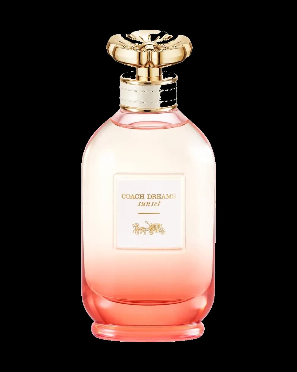 Coach · Dreams Sunset
